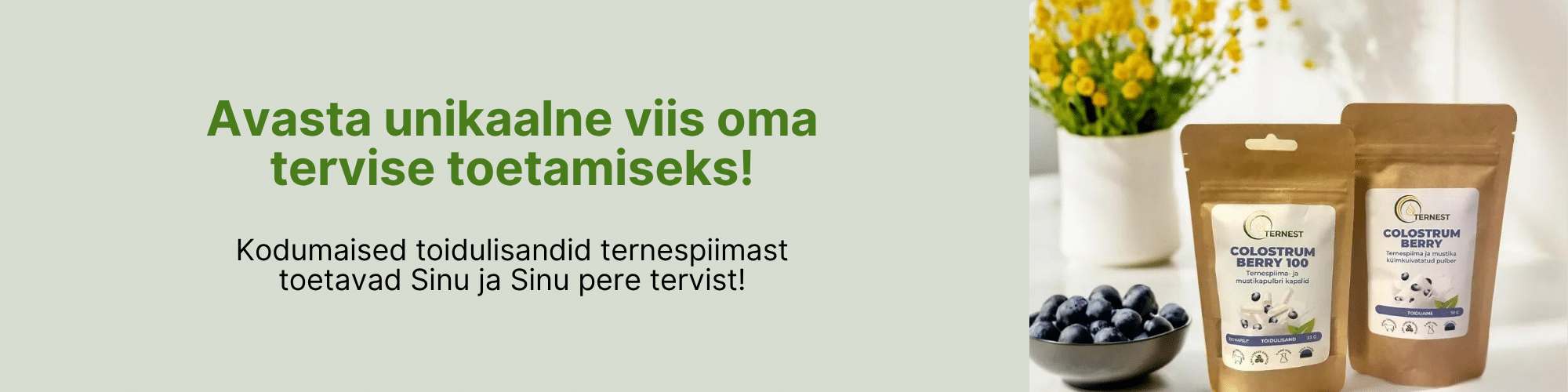 Veebilehe päis mustikas 2000x500px